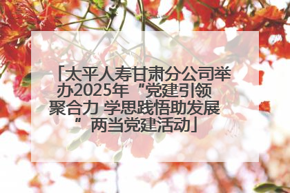 太平人寿甘肃分公司举办2025年“党建引领聚合力 学思践悟助发展”两当党建活动