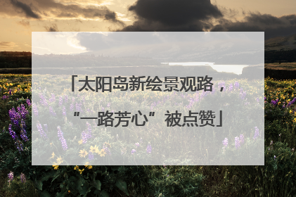 太阳岛新绘景观路，“一路芳心”被点赞