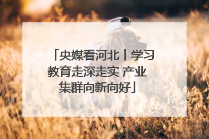 央媒看河北丨学习教育走深走实 产业集群向新向好