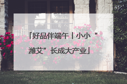 好品伴端午丨小小“潍艾”长成大产业