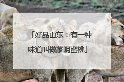 好品山东：有一种味道叫做蒙阴蜜桃