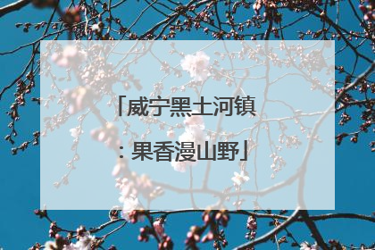 威宁黑土河镇：果香漫山野