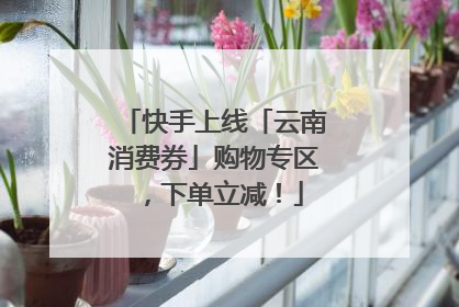 快手上线「云南消费券」购物专区，下单立减！