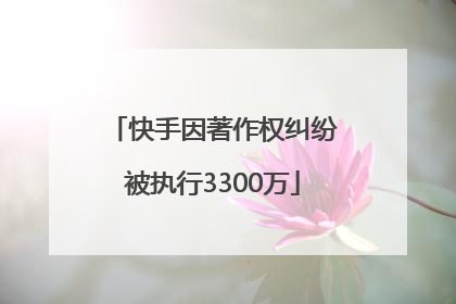 快手因著作权纠纷被执行3300万