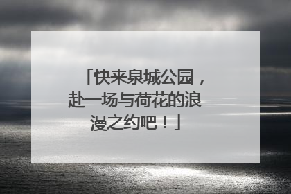 快来泉城公园，赴一场与荷花的浪漫之约吧！