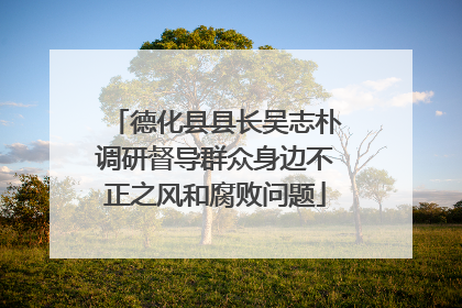 德化县县长吴志朴调研督导群众身边不正之风和腐败问题