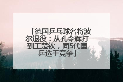 德国乒乓球名将波尔退役：从孔令辉打到王楚钦，同5代国乒选手竞争