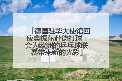 德国驻华大使馆回应樊振东赴德打球：会为欧洲的乒乓球联赛带来新的光彩