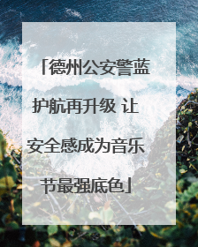 德州公安警蓝护航再升级 让安全感成为音乐节最强底色