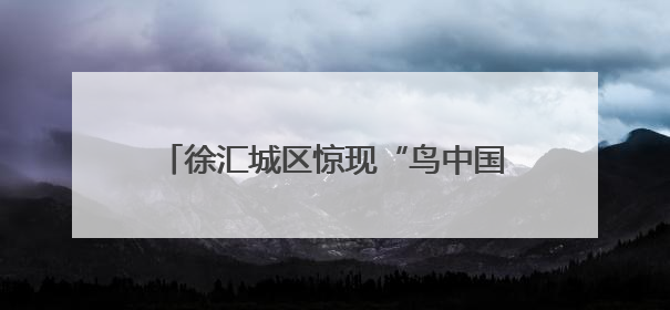 徐汇城区惊现“鸟中国宝”！看城管小哥如何救下这只“彩虹小鸟”