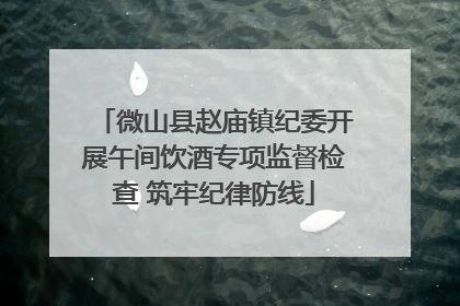 微山县赵庙镇纪委开展午间饮酒专项监督检查 筑牢纪律防线