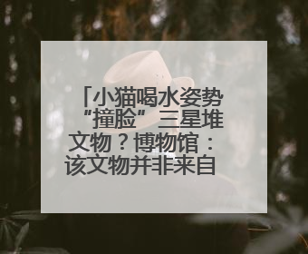 小猫喝水姿势“撞脸”三星堆文物？博物馆：该文物并非来自三星堆，有可能是它