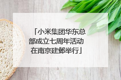 小米集团华东总部成立七周年活动在南京建邺举行