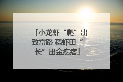 小龙虾“爬”出致富路 稻虾田“长”出金疙瘩