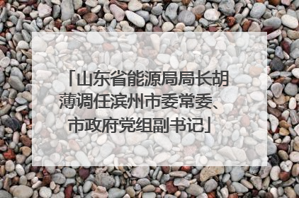山东省能源局局长胡薄调任滨州市委常委、市政府党组副书记
