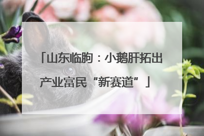 山东临朐：小鹅肝拓出产业富民“新赛道”