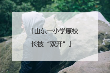 山东一小学原校长被“双开”