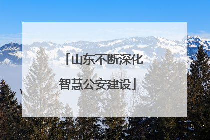 山东不断深化智慧公安建设