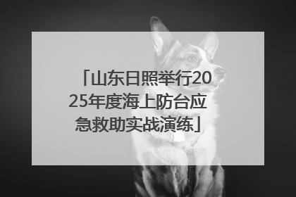 山东日照举行2025年度海上防台应急救助实战演练