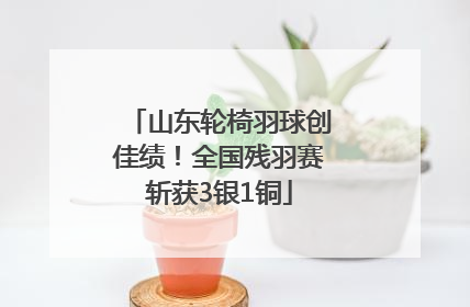 山东轮椅羽球创佳绩！全国残羽赛斩获3银1铜