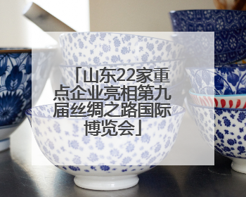 山东22家重点企业亮相第九届丝绸之路国际博览会
