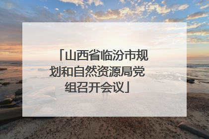 山西省临汾市规划和自然资源局党组召开会议