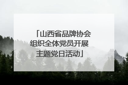 山西省品牌协会组织全体党员开展主题党日活动