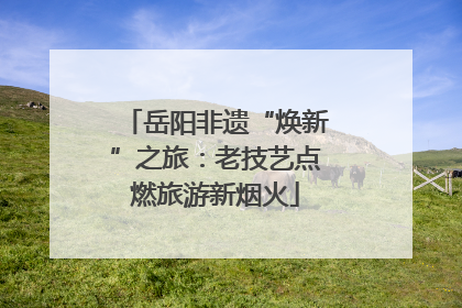 岳阳非遗“焕新”之旅：老技艺点燃旅游新烟火