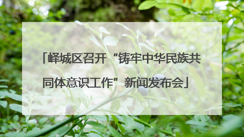 峄城区召开“铸牢中华民族共同体意识工作”新闻发布会