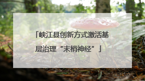 峡江县创新方式激活基层治理“末梢神经”