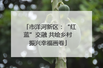 市洋河新区：“红蓝”交融 共绘乡村振兴幸福画卷