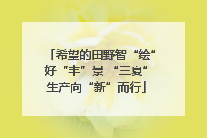 希望的田野智“绘”好“丰”景 “三夏”生产向“新”而行