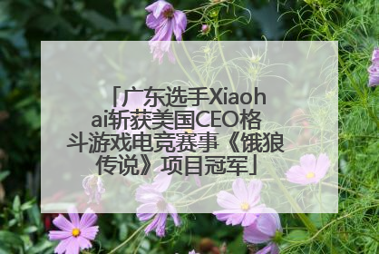 广东选手Xiaohai斩获美国CEO格斗游戏电竞赛事《饿狼传说》项目冠军