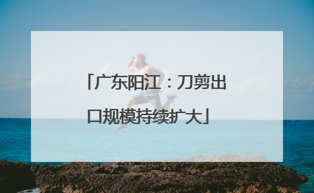 广东阳江：刀剪出口规模持续扩大