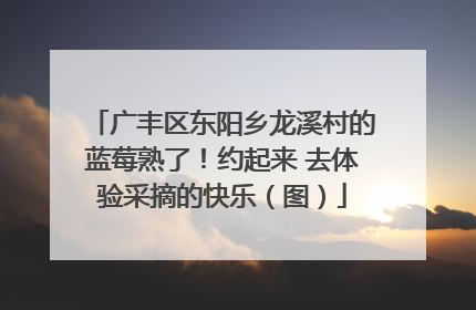 广丰区东阳乡龙溪村的蓝莓熟了！约起来 去体验采摘的快乐（图）
