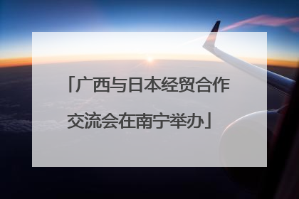 广西与日本经贸合作交流会在南宁举办