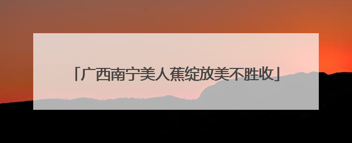 广西南宁美人蕉绽放美不胜收