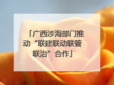 广西涉海部门推动“联建联动联管联治”合作