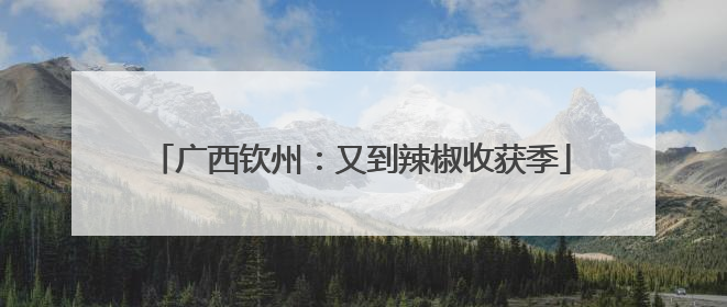 广西钦州：又到辣椒收获季