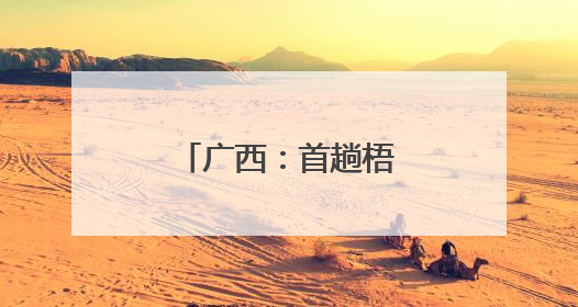 广西：首趟梧州南至重庆西高铁列车发出