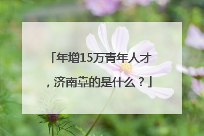 年增15万青年人才，济南靠的是什么？