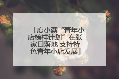 度小满“青年小店榜样计划”在张家口落地 支持特色青年小店发展