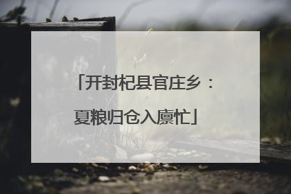开封杞县官庄乡：夏粮归仓入廪忙