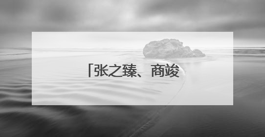 张之臻、商竣程再退温网