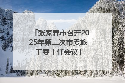 张家界市召开2025年第二次市委旅工委主任会议
