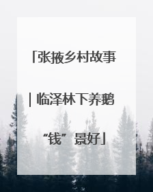 张掖乡村故事｜临泽林下养鹅“钱”景好
