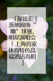 探徐汇｜落地窗前“瞰”球赛、明星演唱会！上海首家体育特色高端酒店亮相