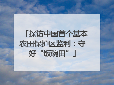探访中国首个基本农田保护区监利：守好“饭碗田”