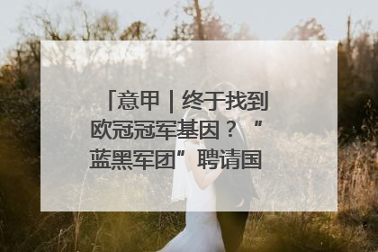 意甲｜终于找到欧冠冠军基因？“蓝黑军团”聘请国米名宿齐沃执教