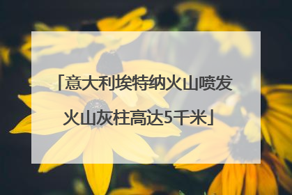 意大利埃特纳火山喷发 火山灰柱高达5千米